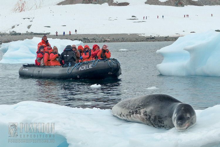 КОНТИНЕНТ АНТАРКТИДА