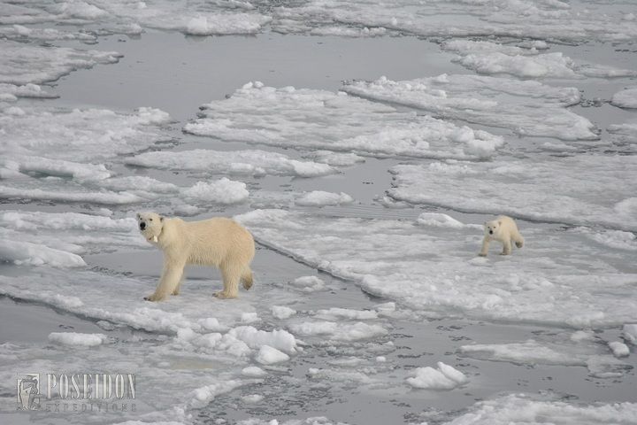 Исландия, Ян-Майен и Шпицберген