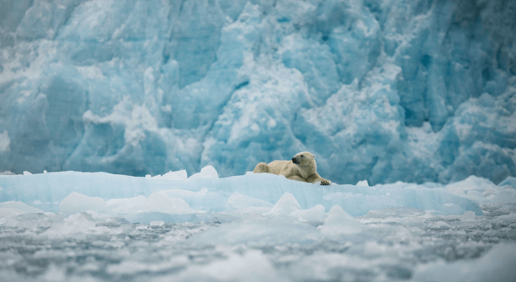 Шпицберген и остров Белый