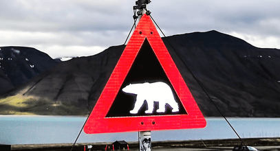 Шпицберген: «В наш супермаркет белые медведи не заходят – оставьте ваше оружие на входе»