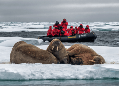 ОСТРОВ БЕЛЫЙ