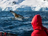 Отзыв об экспедиции в Антарктиду