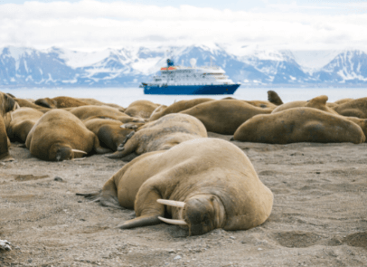 ШПИЦБЕРГЕН