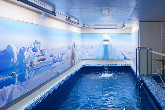 Бассейн и сауна