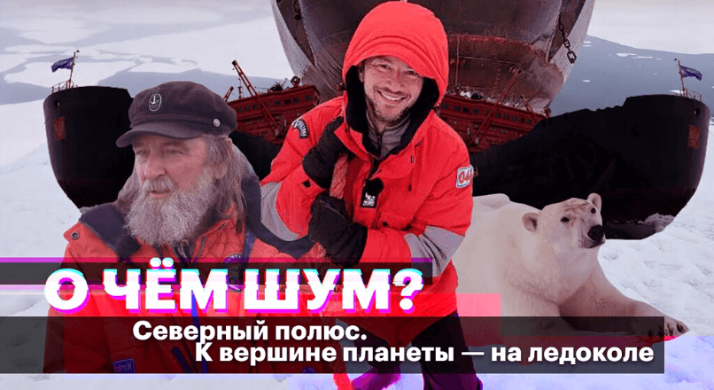 Северный полюс: как выглядит путешествие к вершине планеты на атомном ледоколе