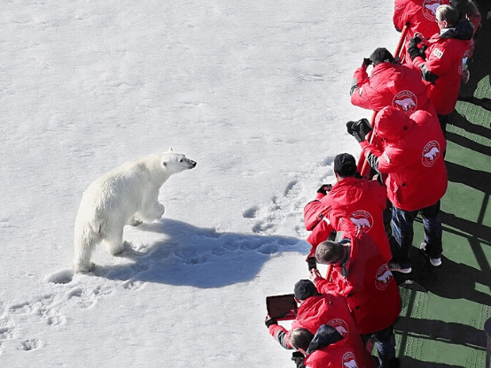 Отзыв о путешествии на Северный полюс (июль 2021)