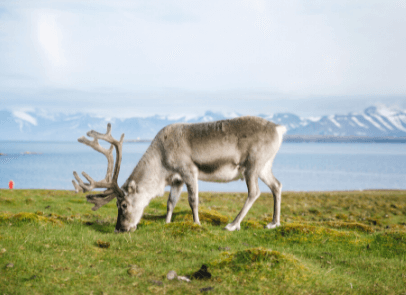 НЕТРОНУТЫЙ МИР