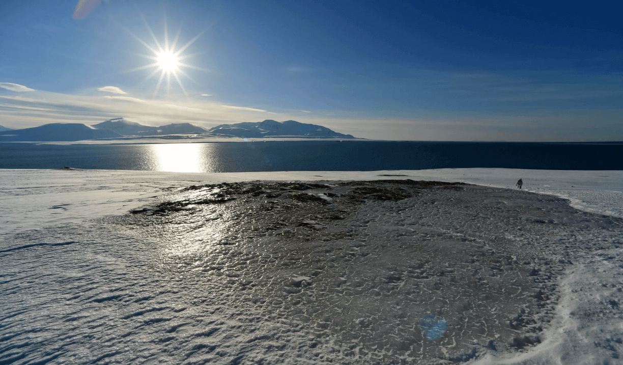 1592705010_0_0_3077_1804_0x0_80_0_0_dccb8b2b014313c52ac540327efca5e7.jpg-min (1).png