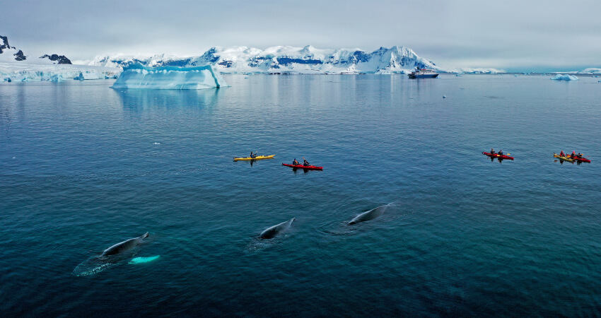 Каякинг в Антарктике
