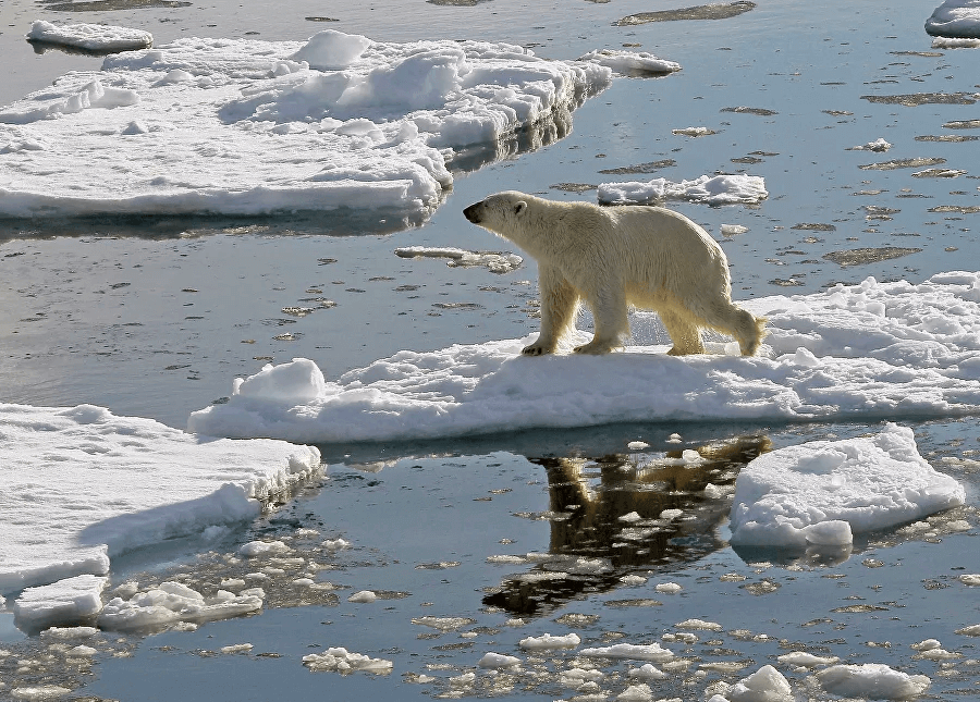 1732350852_0_0_2000_1434_900x0_80_0_0_e24cb30ea03376fcc186e0db35f9f999.jpg (1).png