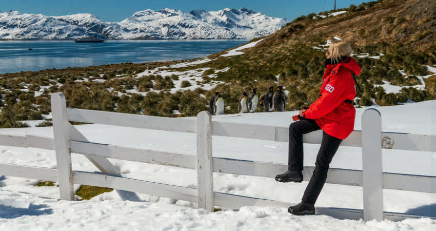 Пассажир в экспедиционном круизе на Фолкленды, Антарктика