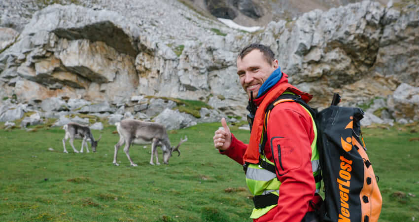 Наблюдать северных оленей на Шпицбергене