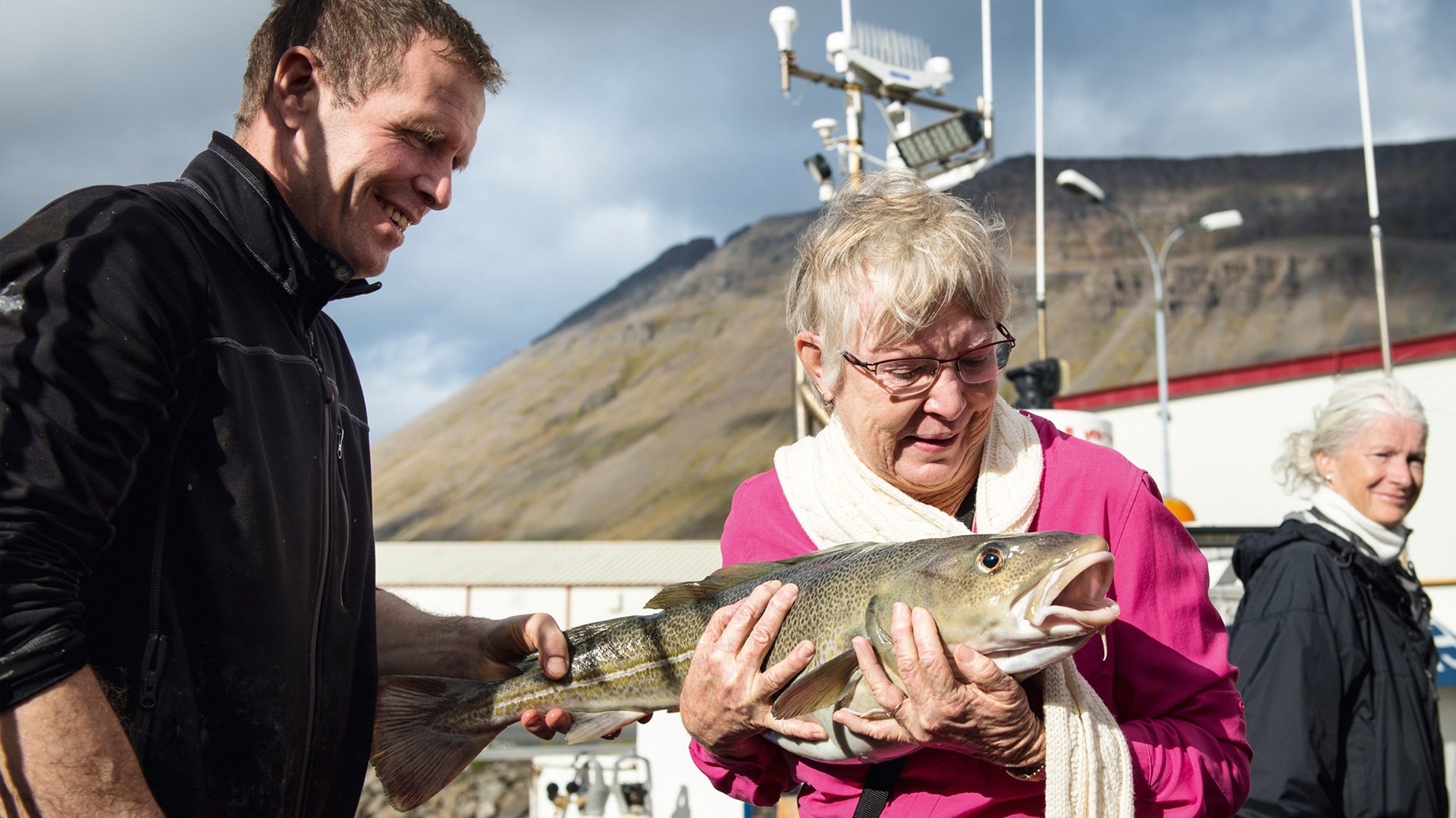 Исландия Ян-Майен Шпицберген рыба