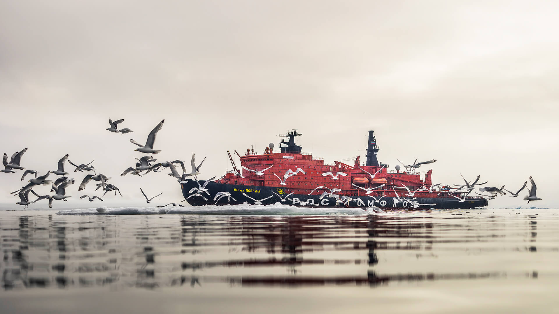 Северный полюс ледокол 50 лет Победы