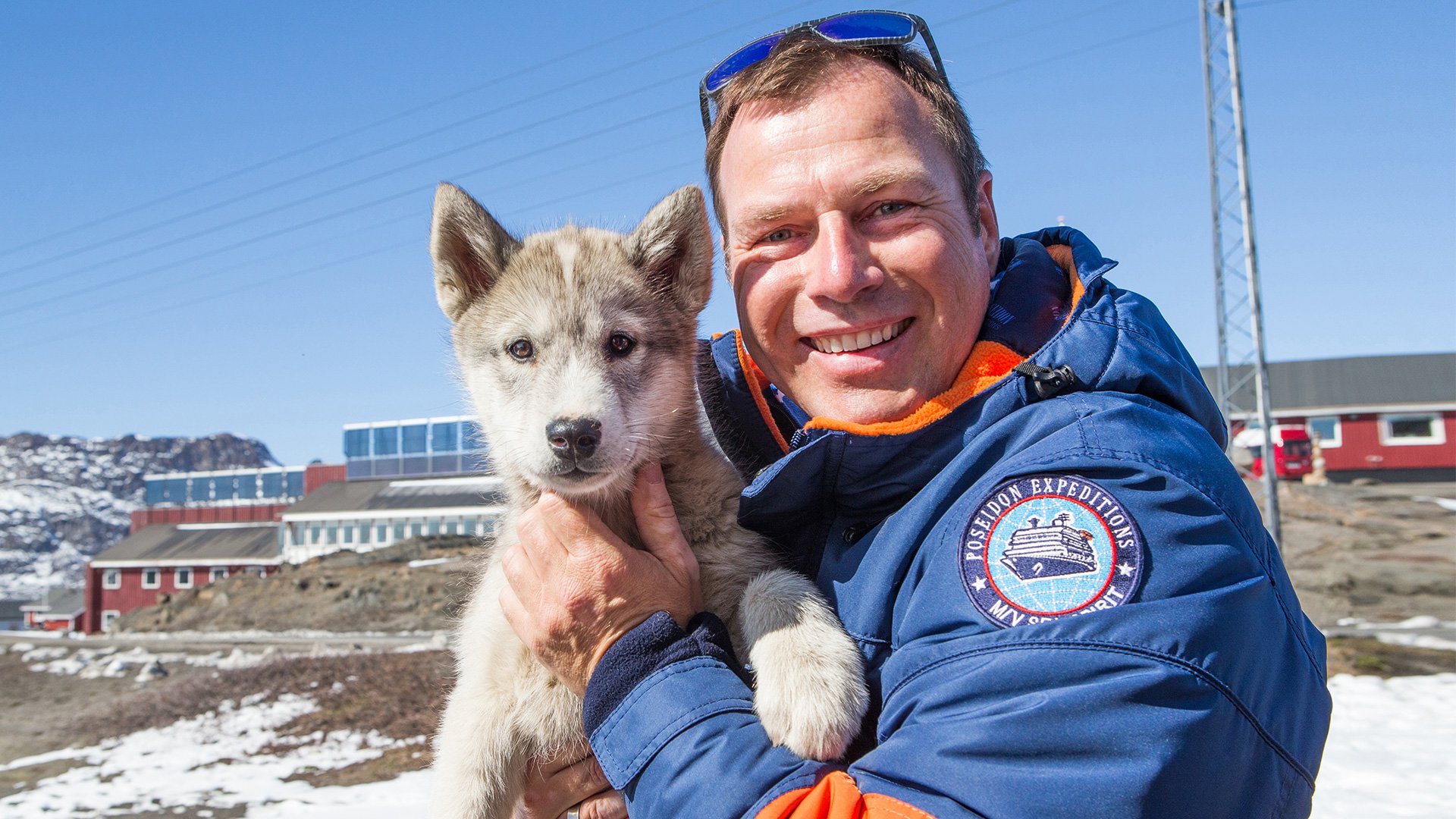 Южная и Западная Гренландия собака